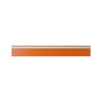 25 Stk. | Etikettenhalter TWIN | 600x80 mm | orange | mit 1 Selbstklebestreifen