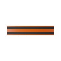 25 Stk. | Etikettenhalter TWIN | 300x60 mm | orange | mit 2 Magnetstreifen