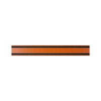 25 Stk. | Etikettenhalter TWIN | 600x80 mm | orange | mit 2 Magnetstreifen